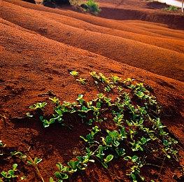 预告的预告 《GTA6》宣传片12月5日22点放出